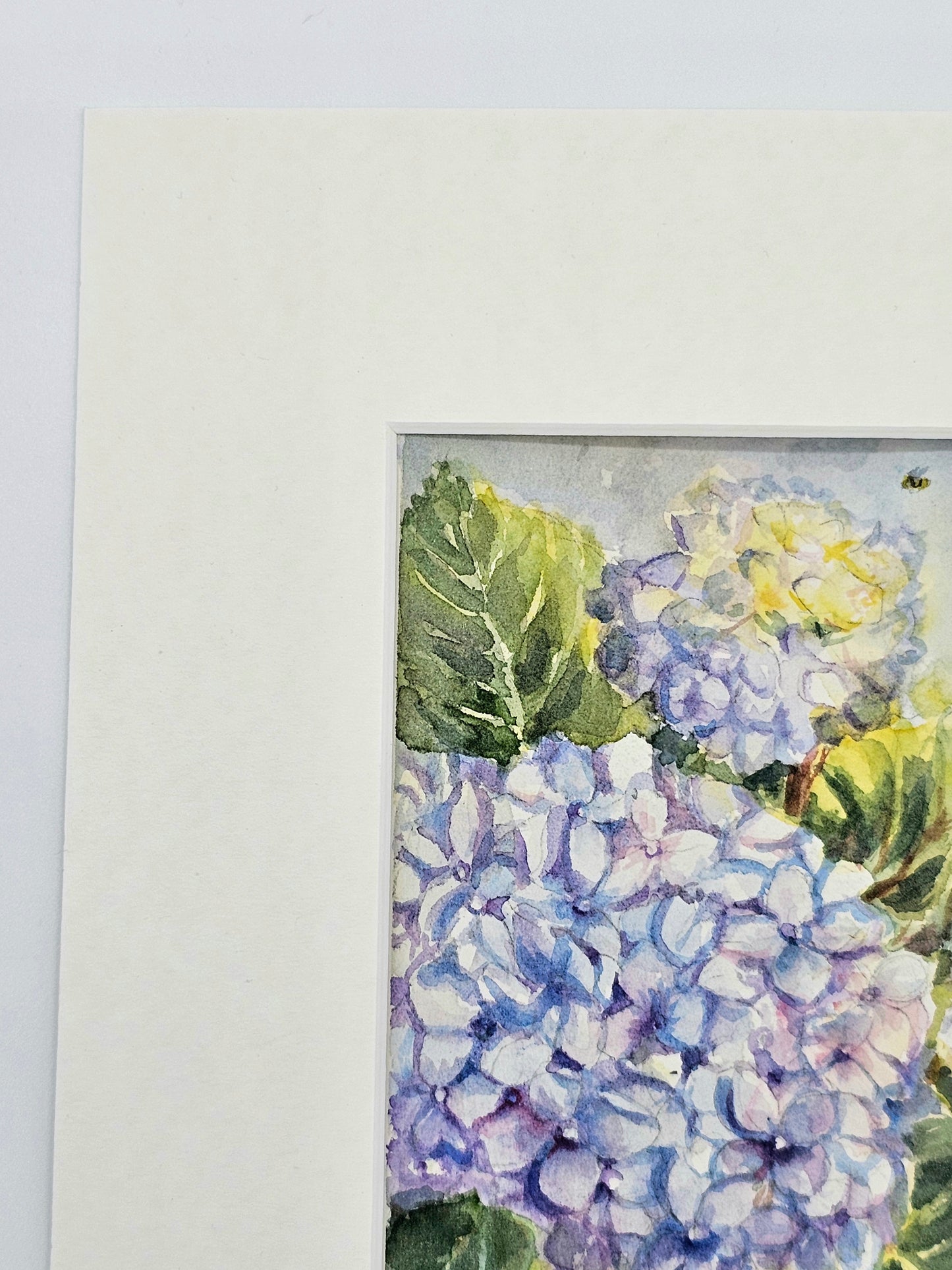The light of Hydrangeas- original watercolour painting, framed
