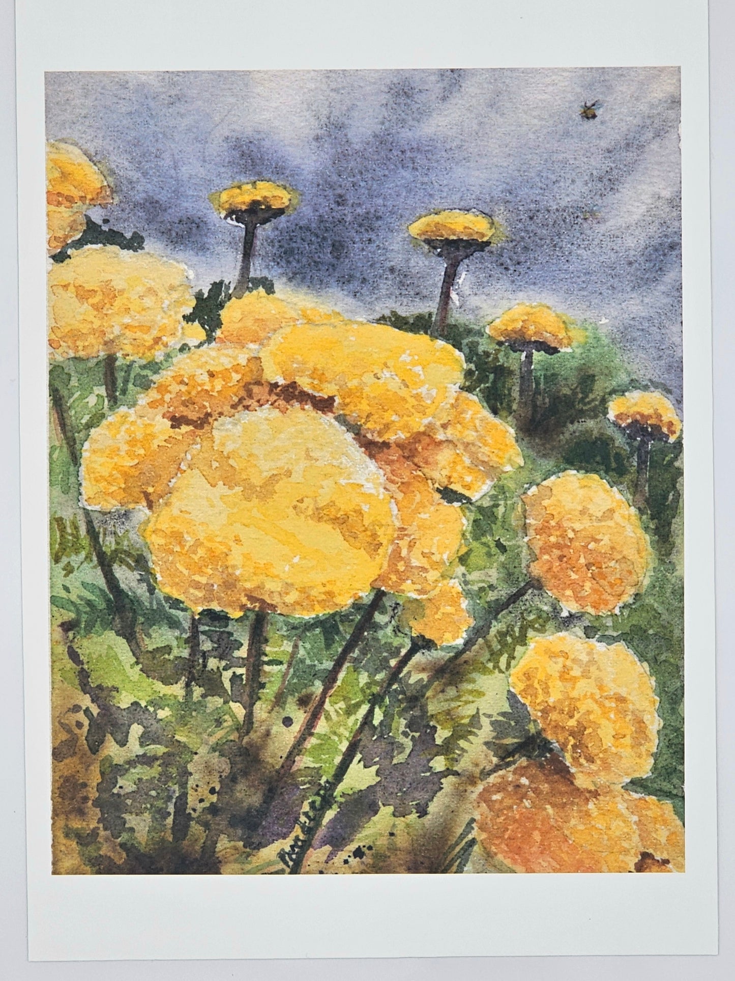 Finding Gold -8x10 inch fine art print- signed &limited edition
