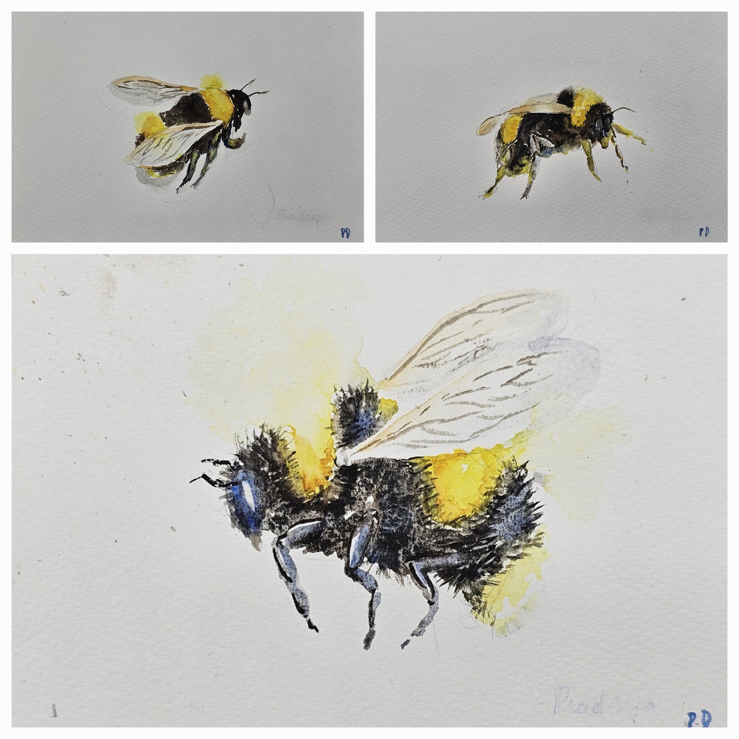 Three Bumblebees painting workshop- Fri 12 Dec - 7 pm