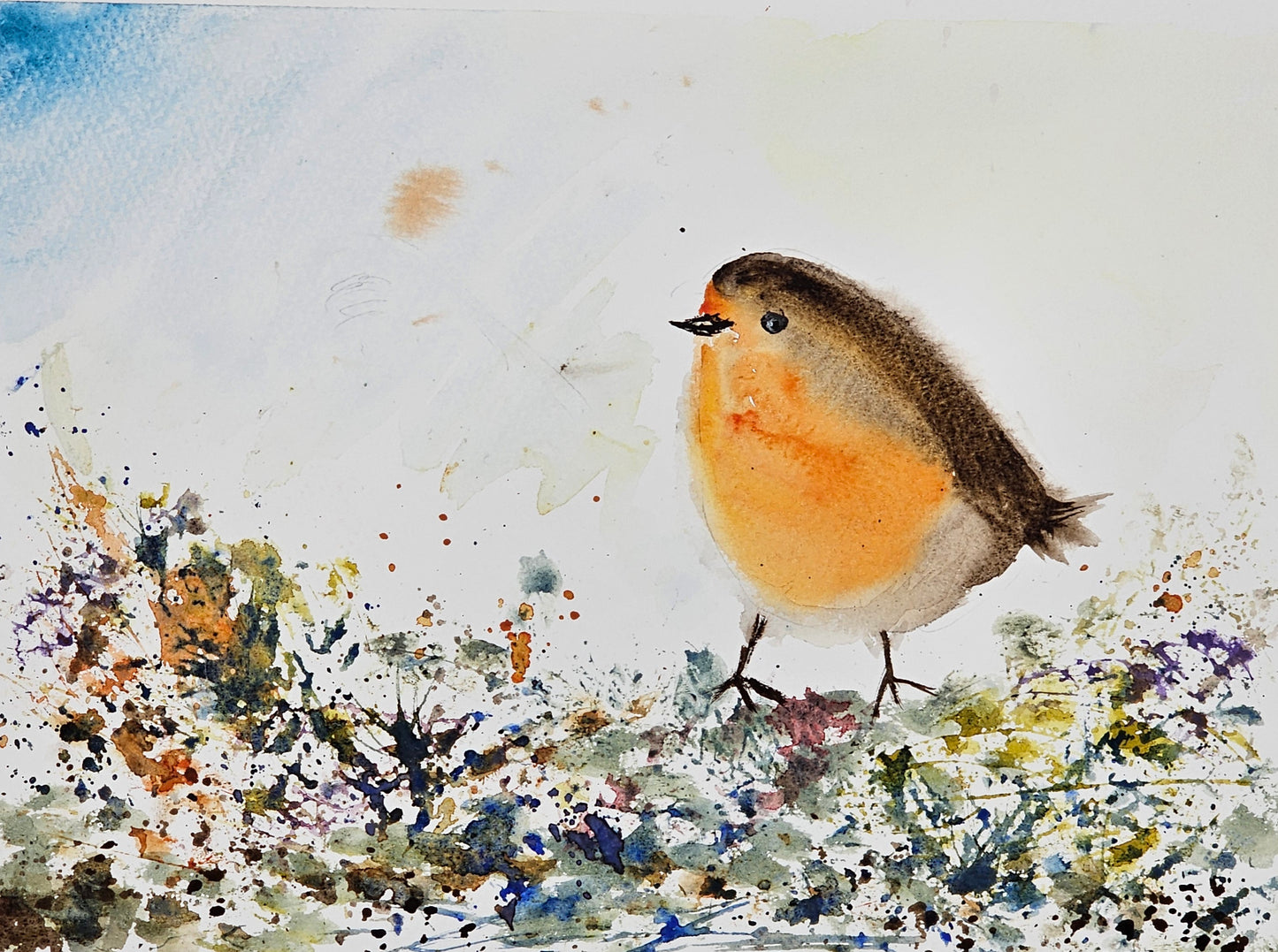 Robin painting workshop- Thurs Dec 4- 10 am