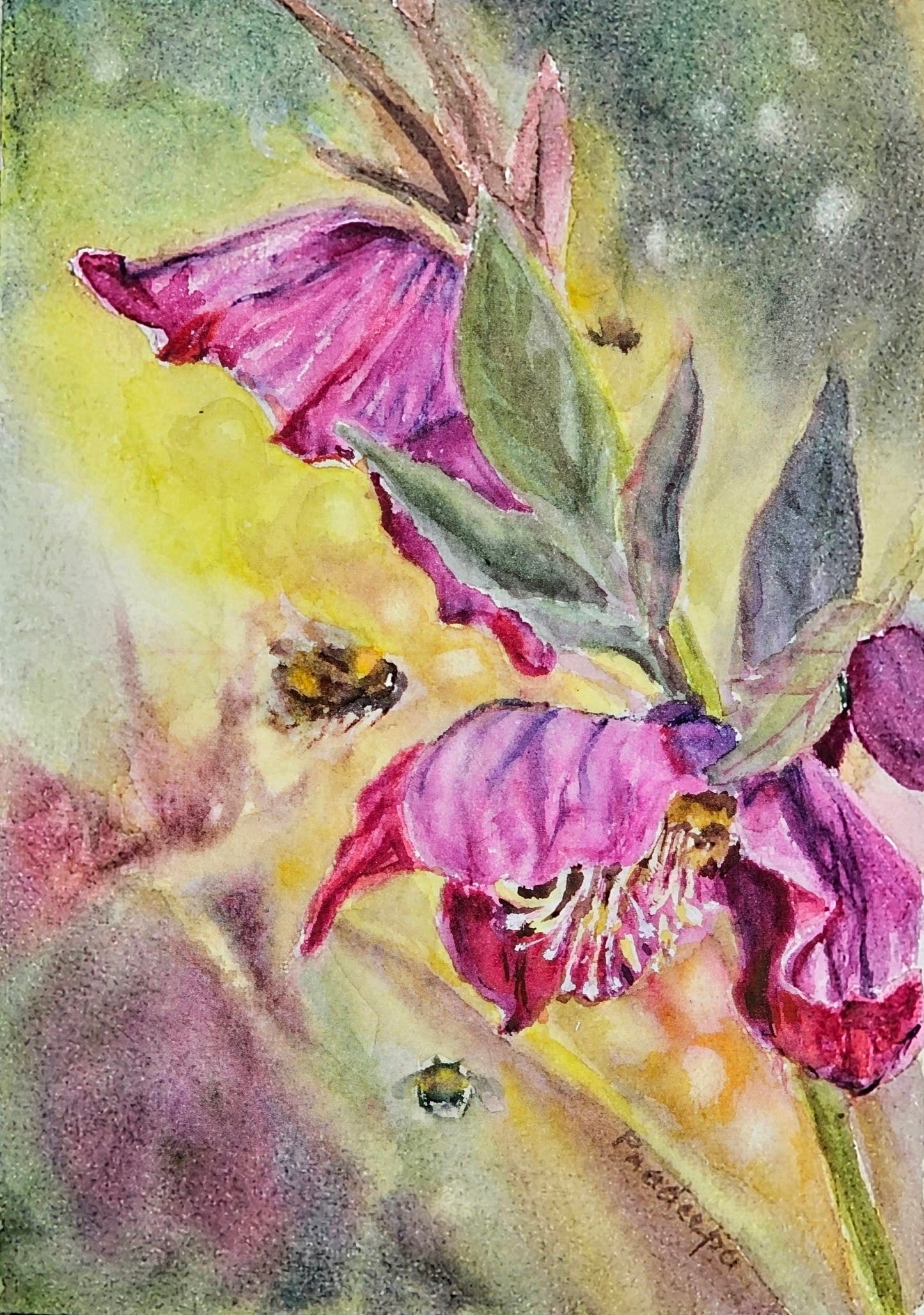 Hellebores and Bees - original watercolour painting- 4x6 inches