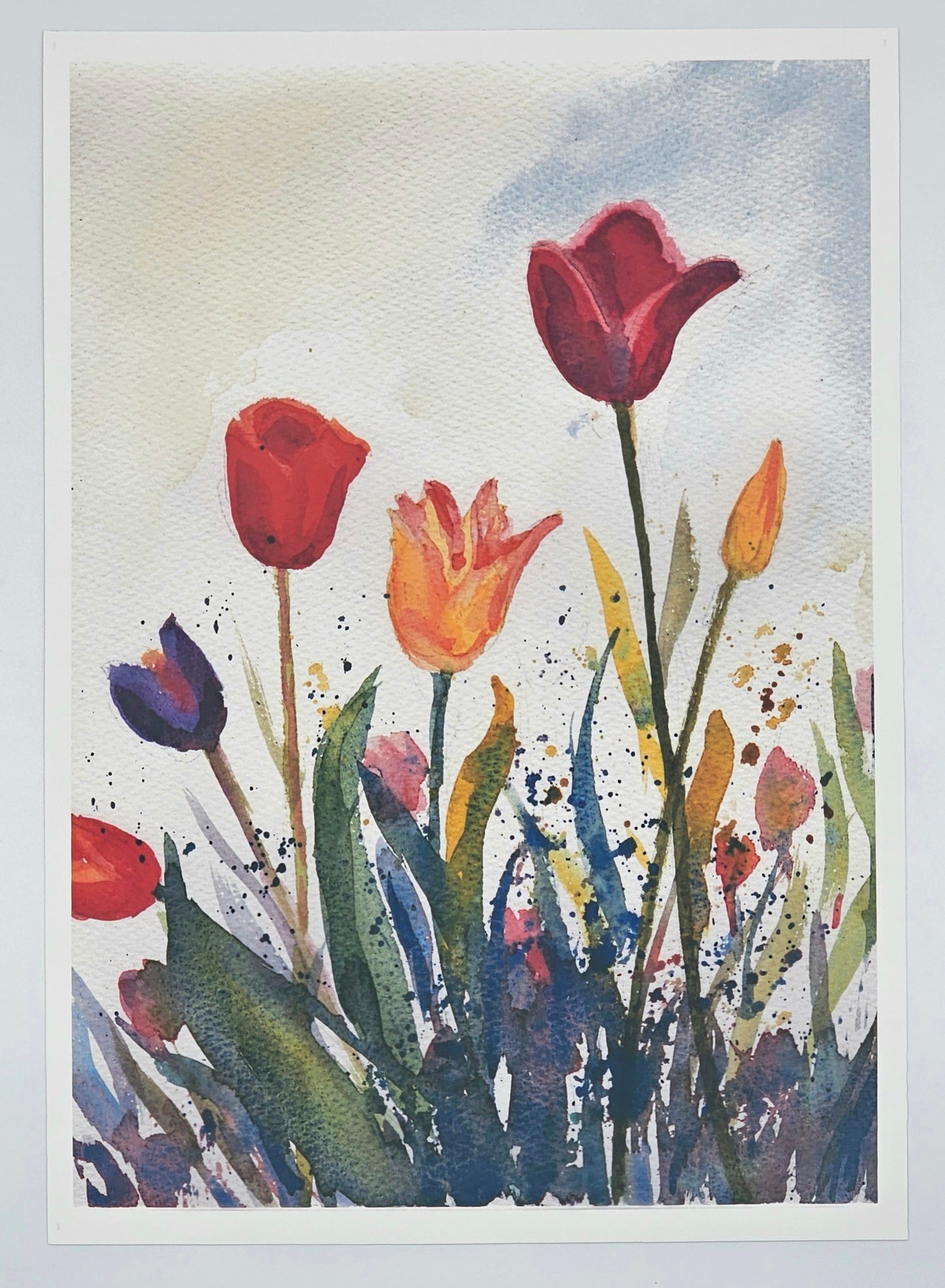 Tulips II- Limited edition print- A4, signed