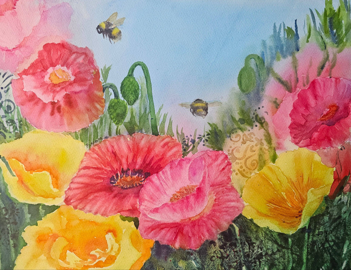 Colourful poppies with bees in a garden setting