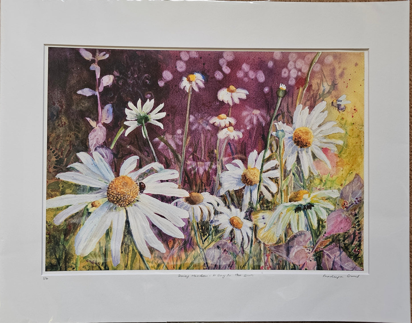 Daisy Meadow- A Day In The Sun- Limited Edition Fine Art Print- A3 & A4 size