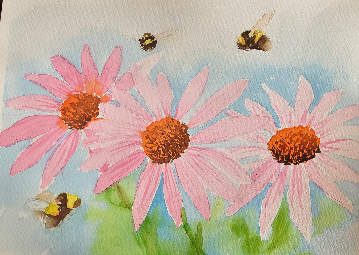 Coneflowers painting workshop- Mon 5 Oct - 10 am