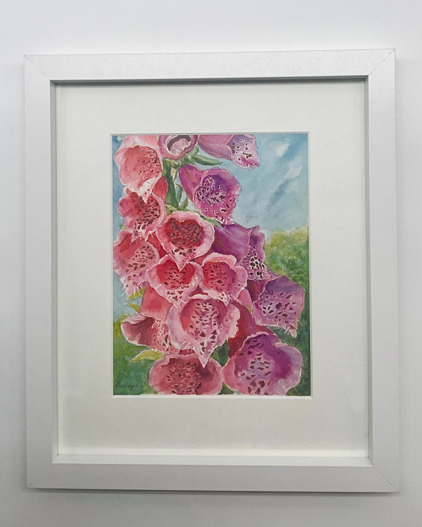 Radiant Foxgloves- Original Watercolour Painting