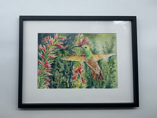 Shining Berylline- Original Watercolour