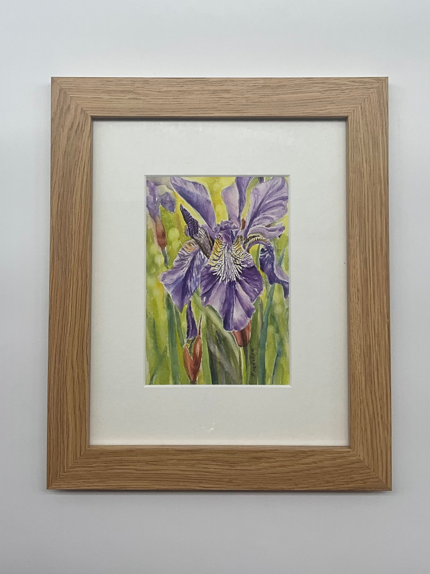 The Beauty of Iris - original watercolour painting