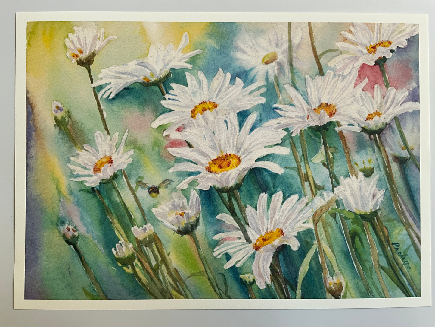 Daisy-ing In Summer - Limited edition print