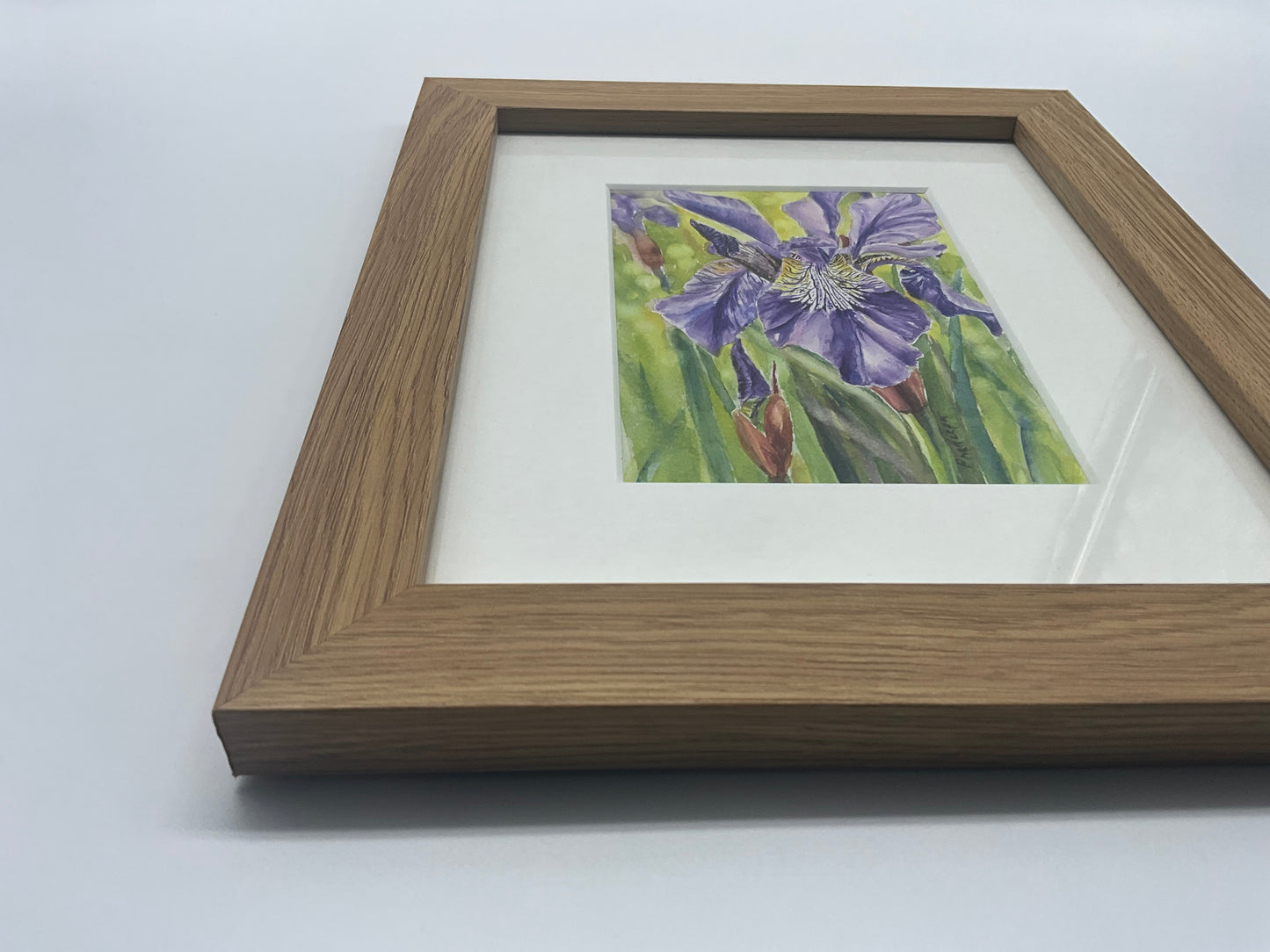 The Beauty of Iris - original watercolour painting