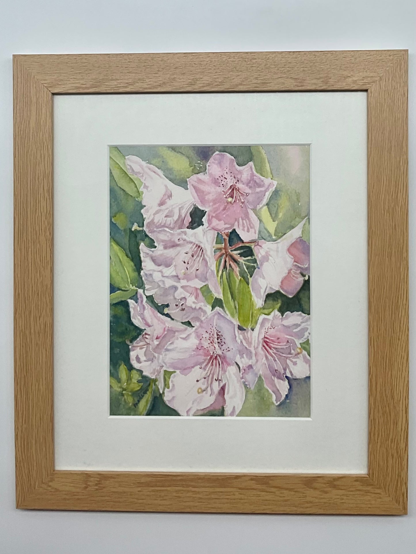 Rhododendrons Under The Sun- Original Watercolour Painting