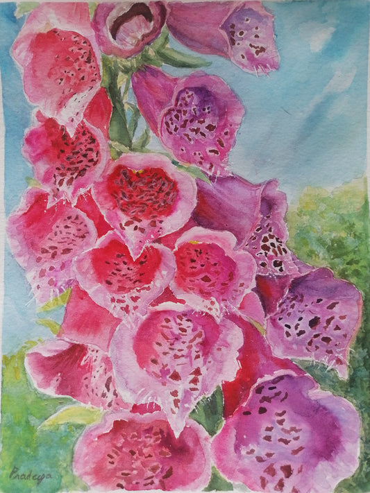 Radiant Foxgloves- Original Watercolour Painting