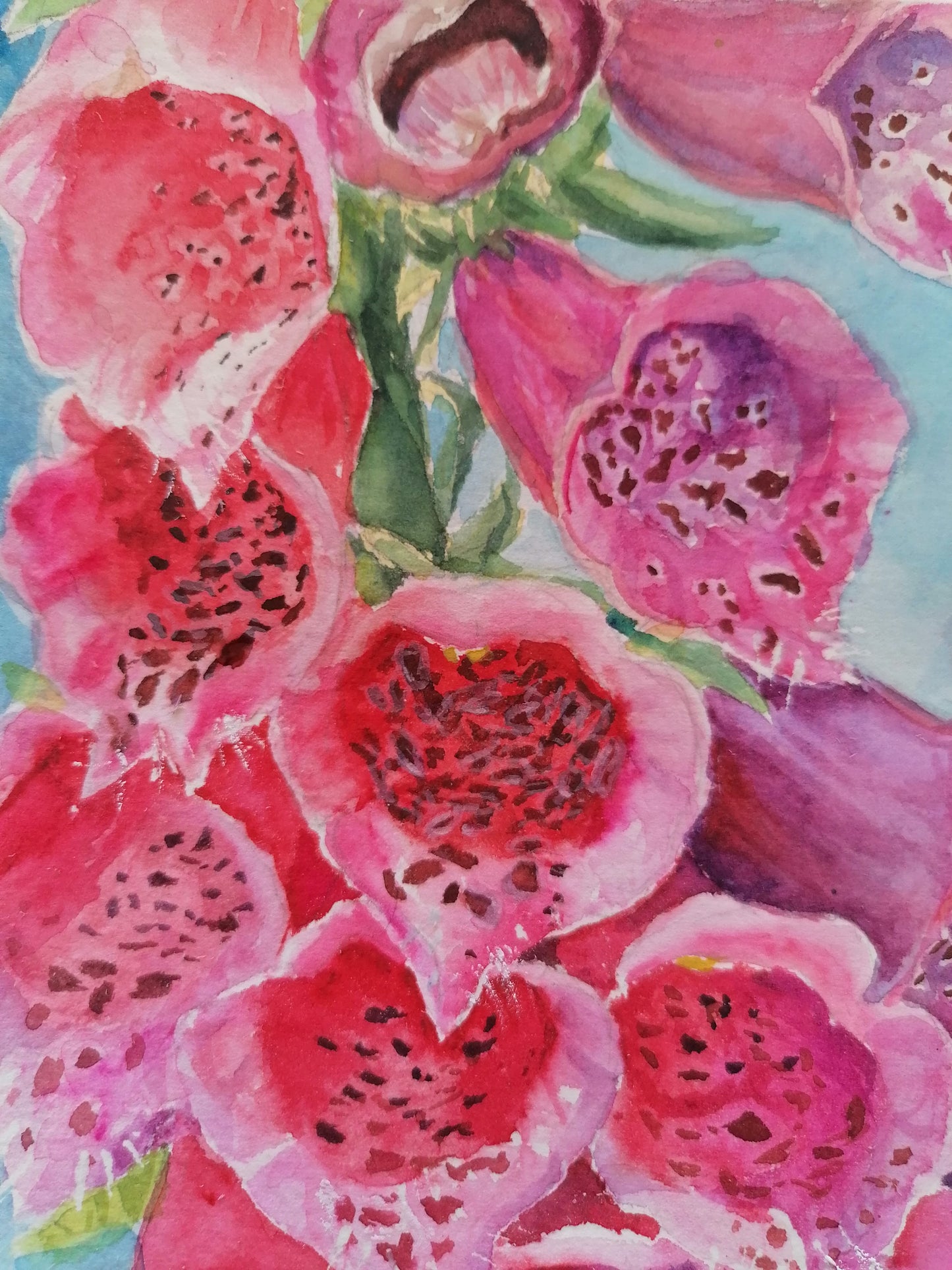 Radiant Foxgloves- Original Watercolour Painting