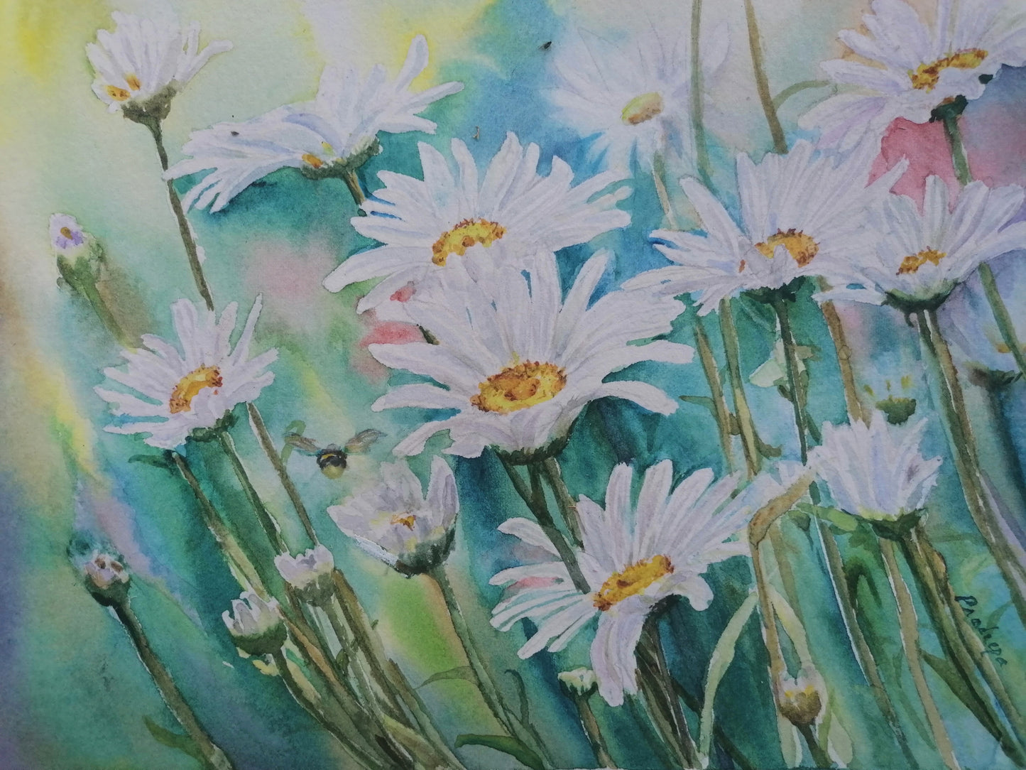Daisy-ing In Summer- Original Watercolour Painting