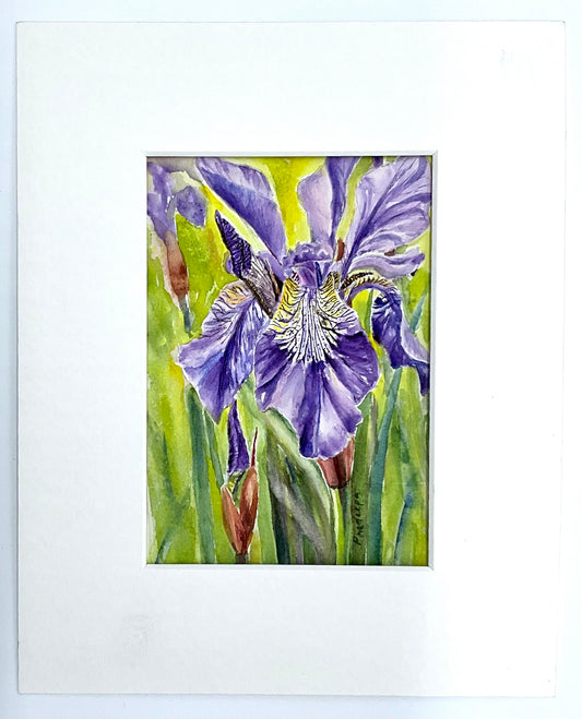 The Beauty of Iris - original watercolour painting