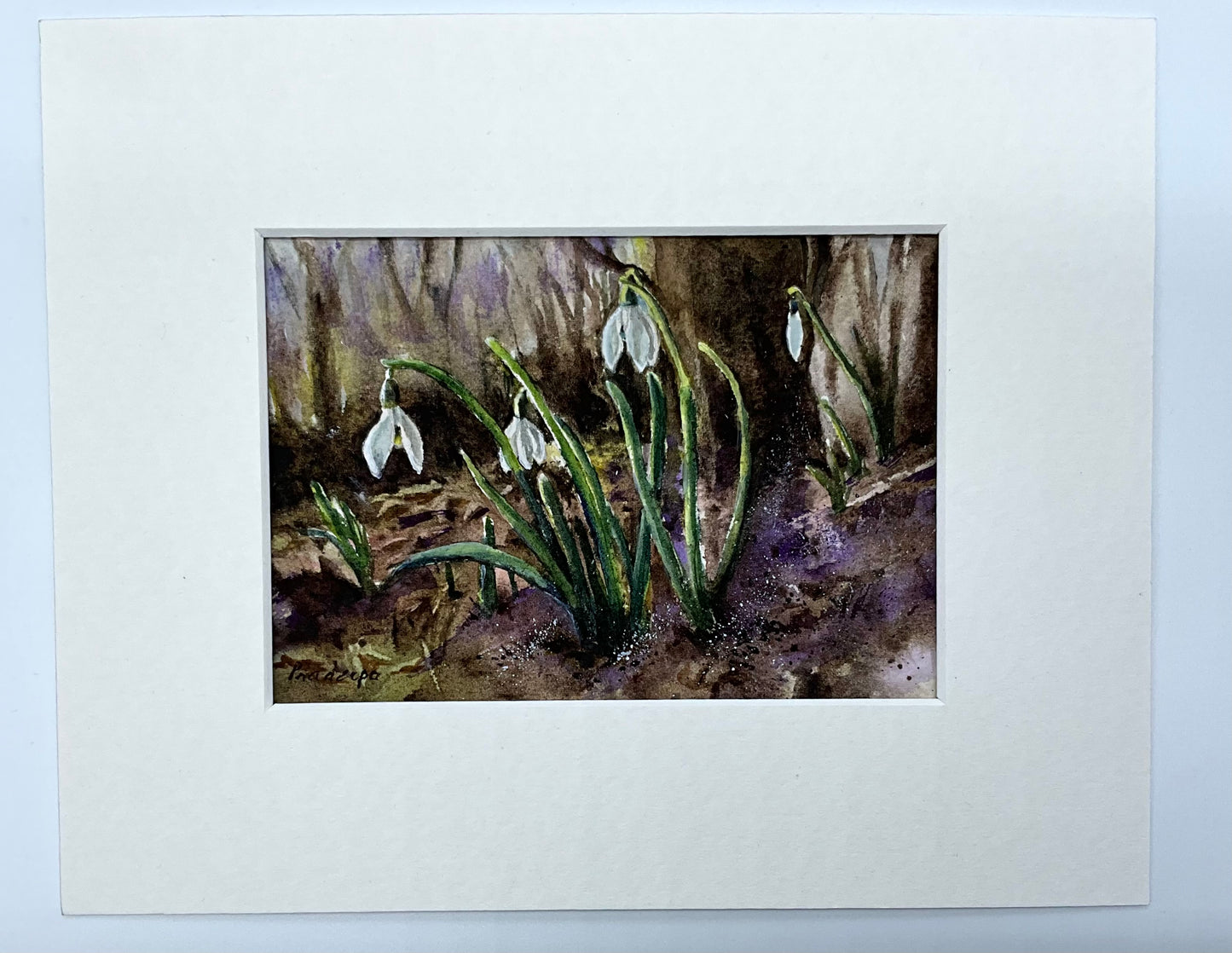 White Drops of Spring - original watercolour painting