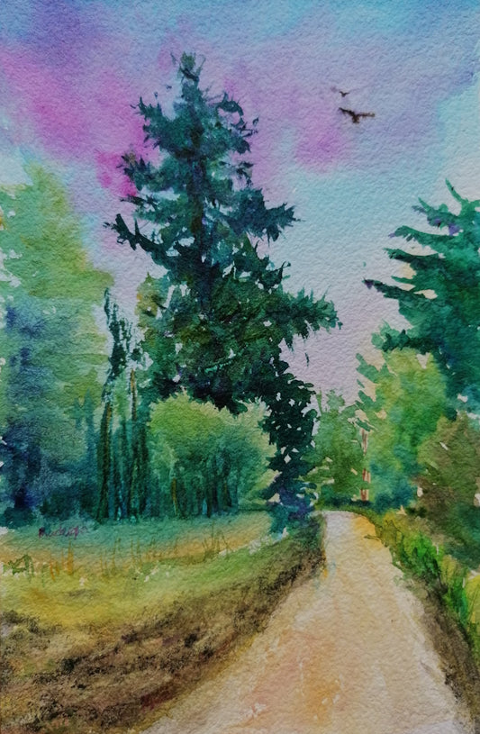 Forest Walk - Original Watercolour Painting