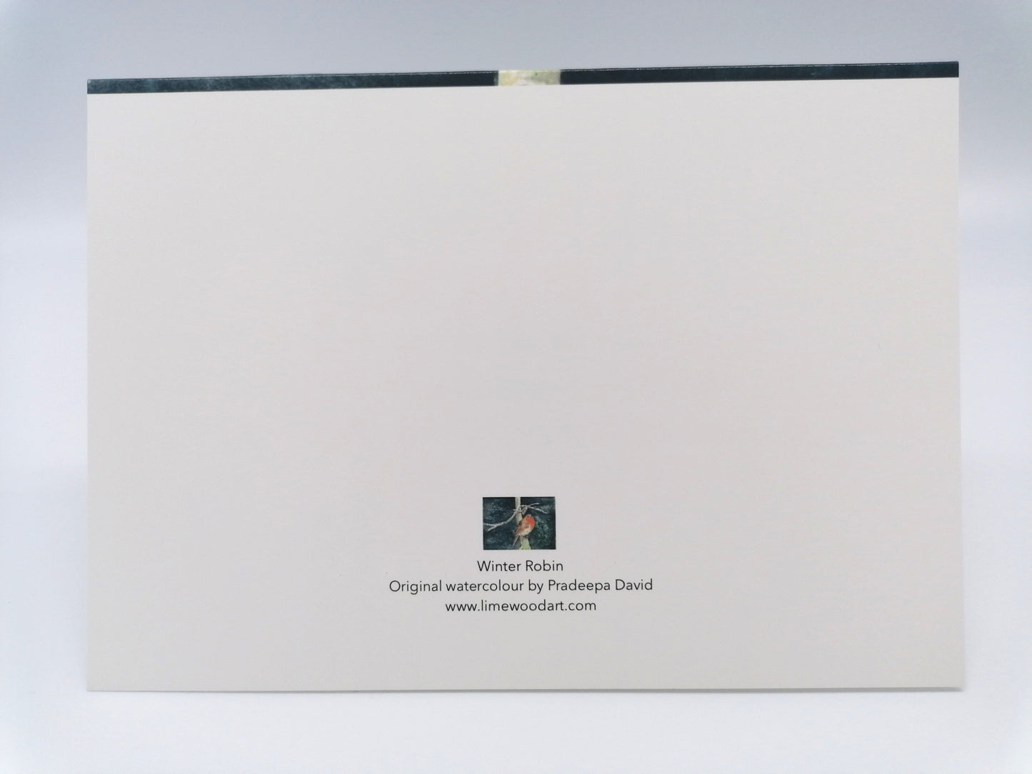 Robin Greeting Cards- Individual Cards or set of 3