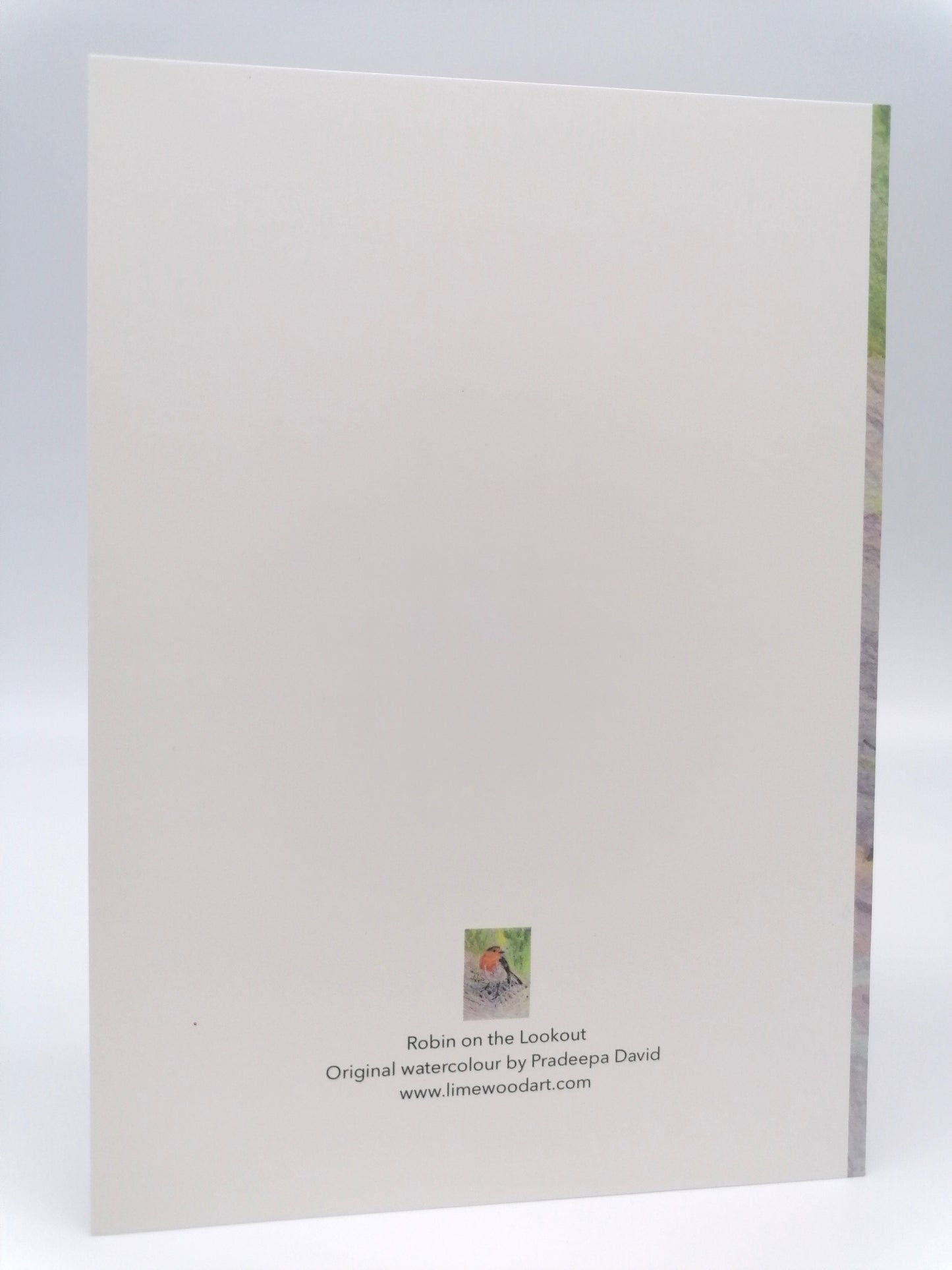 Robin Greeting Cards- Individual Cards or set of 3