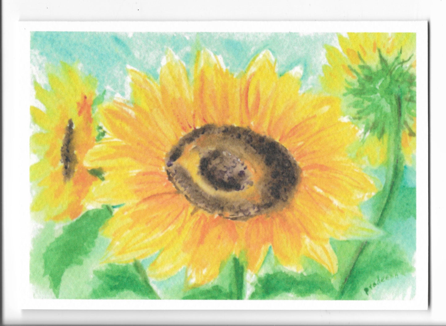 Floral Greeting Cards- Individual and set of 8 available