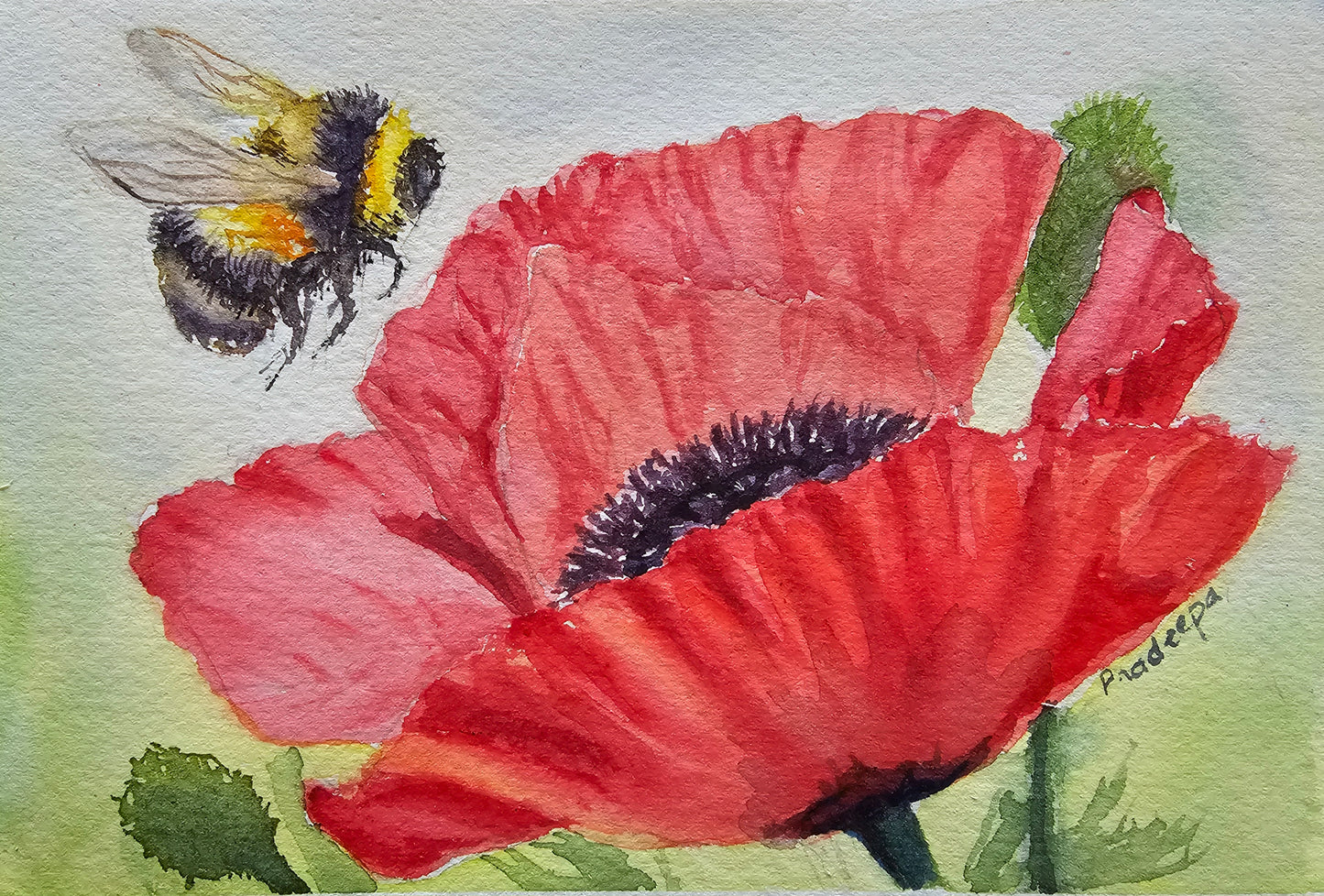 Poppy and Bee- original watercolour painting- 4x6 inches