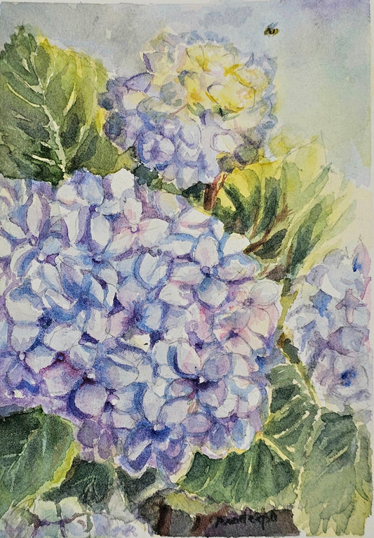 The light of Hydrangeas- original watercolour painting- 4x6 inches