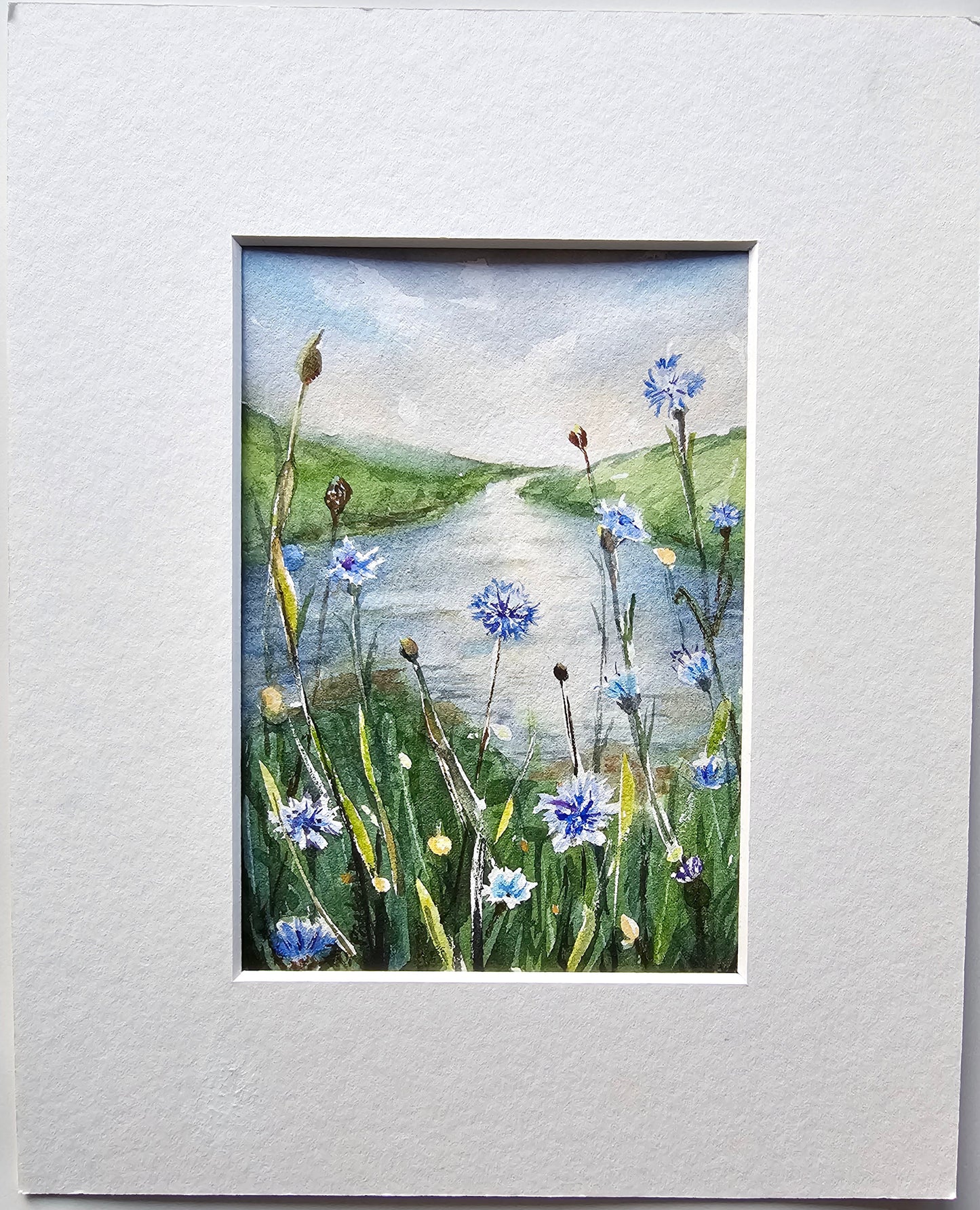 A Cornflower Way - original watercolour painting- 4x6 inches