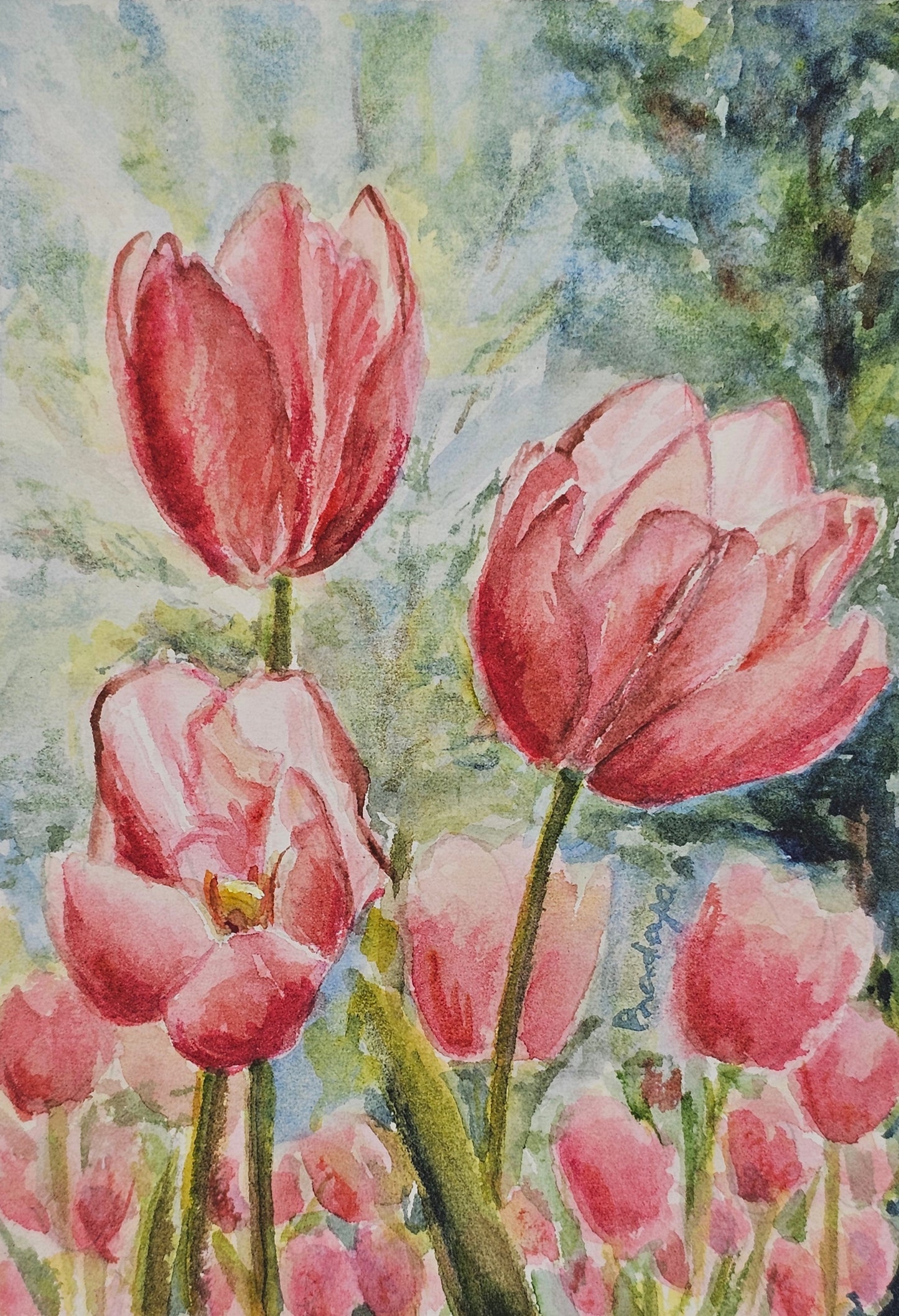 Tulip Meadows - original watercolour painting- 4x6 inches