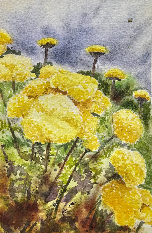 Finding Gold - original watercolour painting- 4x6 inches