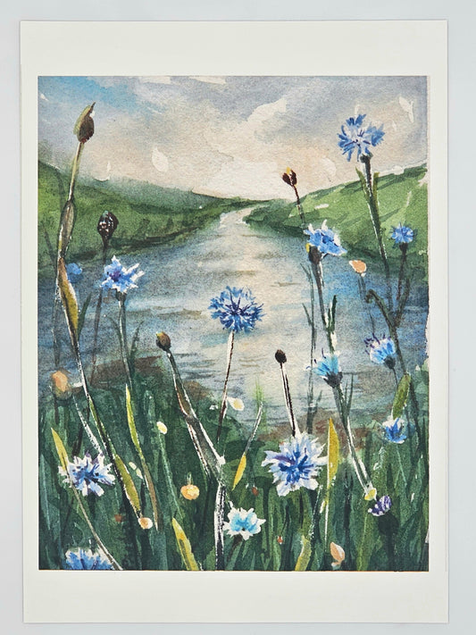A Cornflower Way  -8x10 inch fine art print- signed &limited edition