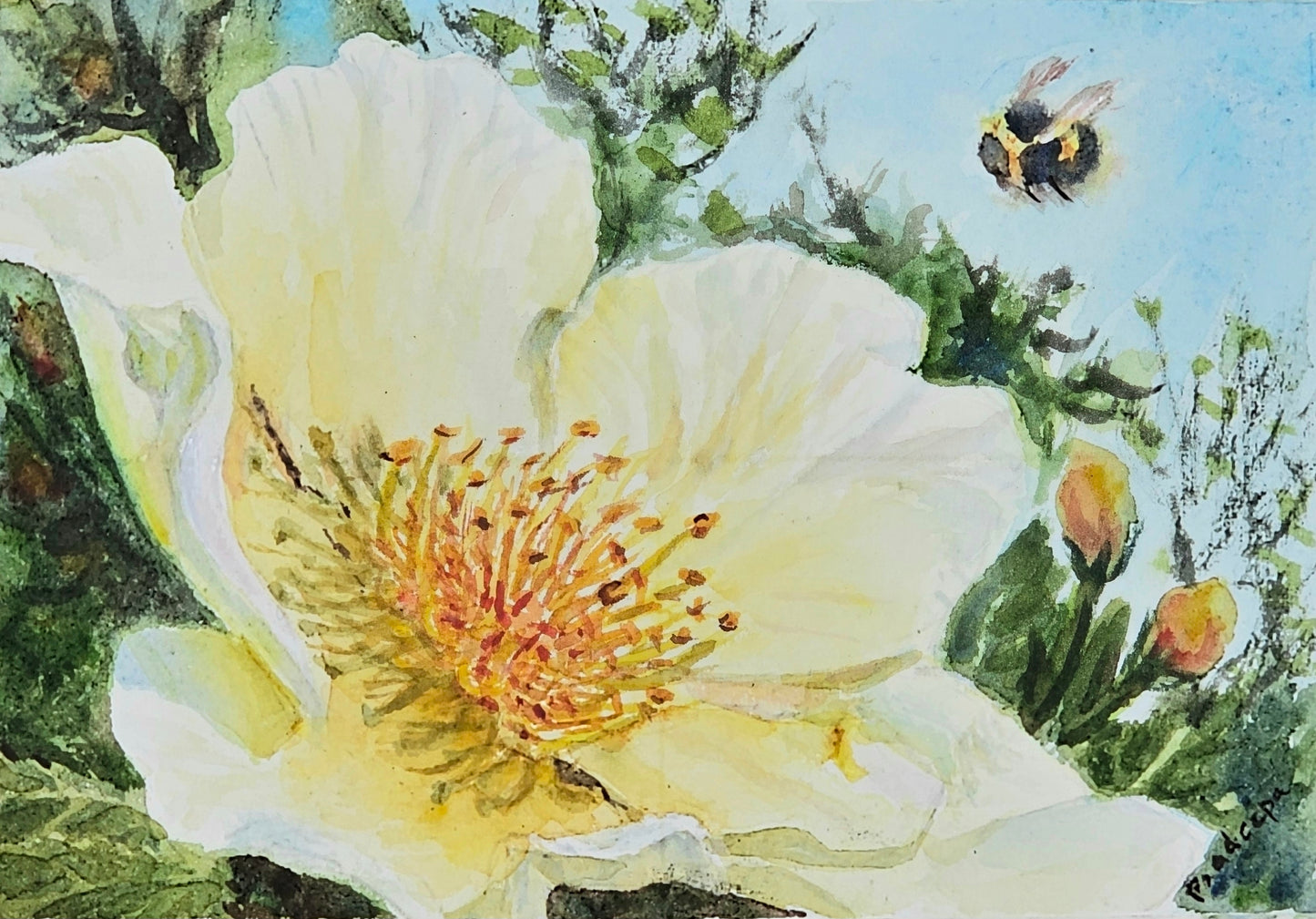 Rose And The Bee-  original watercolour painting- 4x6 inches