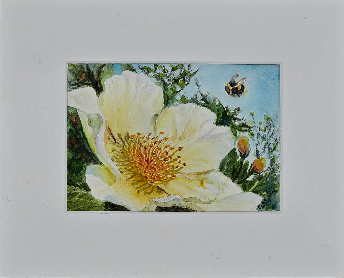 Rose And The Bee-  original watercolour painting- 4x6 inches