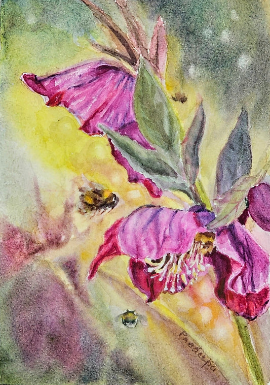 Hellebores and Bees -  original watercolour painting- 4x6 inches