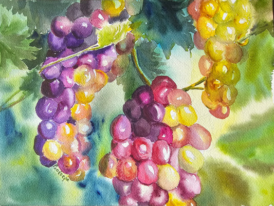 Lush Grapes, Ready To Eat