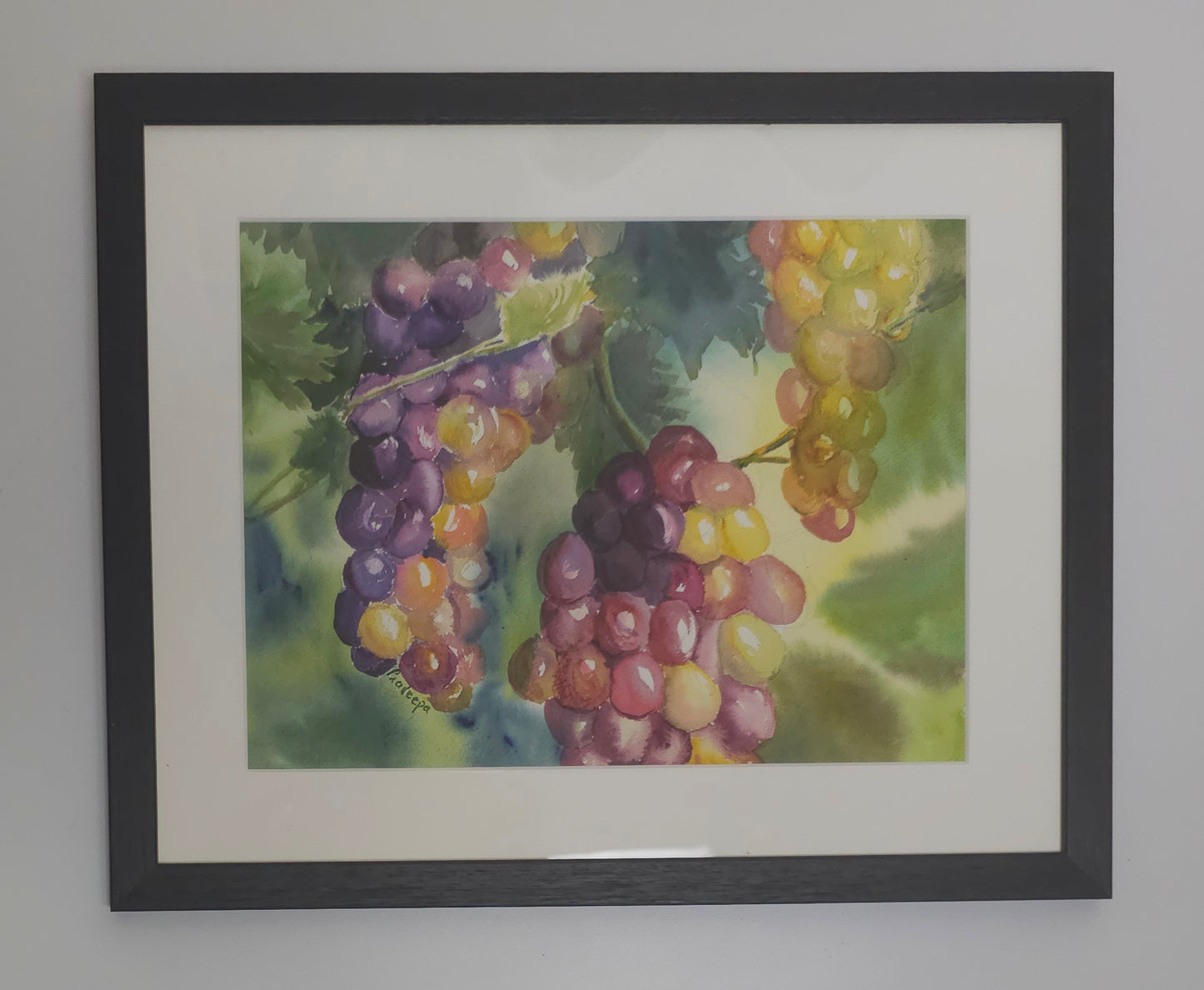 Lush Grapes, Ready To Eat