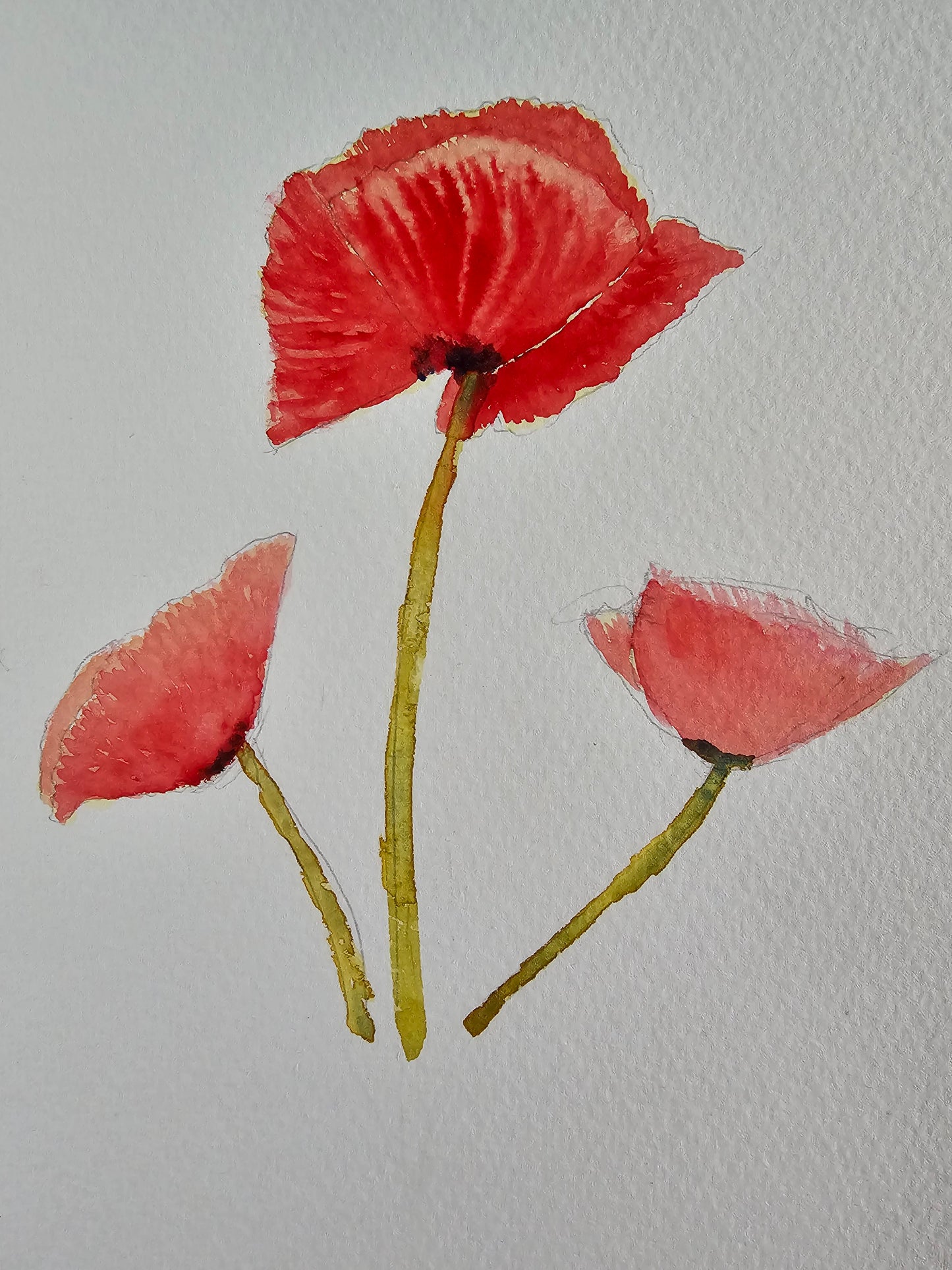 Watercolour Basics 6 Week Course - Sept/Oct 2026