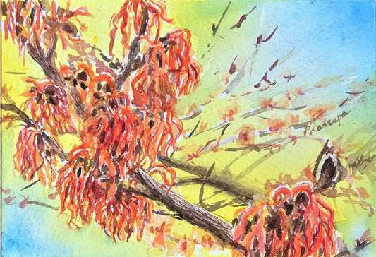 Endurance -  original watercolour painting- 4x6 inches