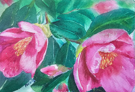 Blooming In Winter -  original watercolour painting- 4x6 inches