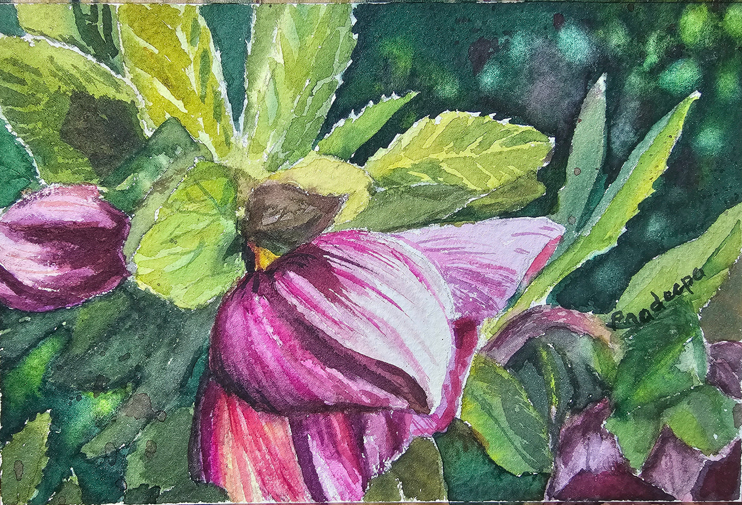 Catching The Cool Sun-  original watercolour painting- 4x6 inches