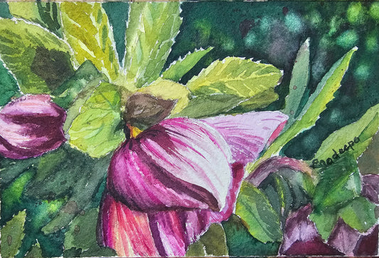 Catching The Cool Sun-  original watercolour painting- 4x6 inches