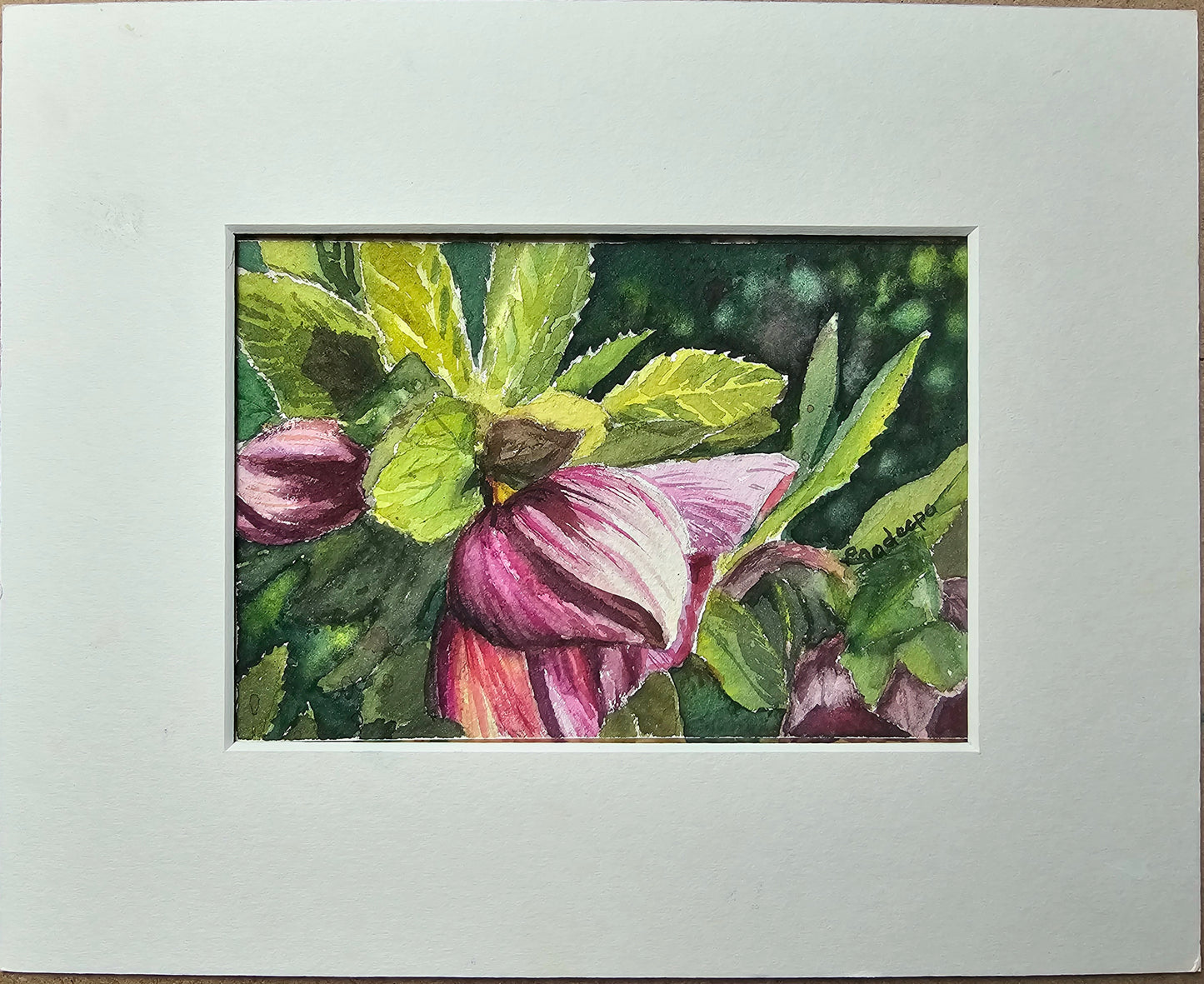 Catching The Cool Sun-  original watercolour painting- 4x6 inches