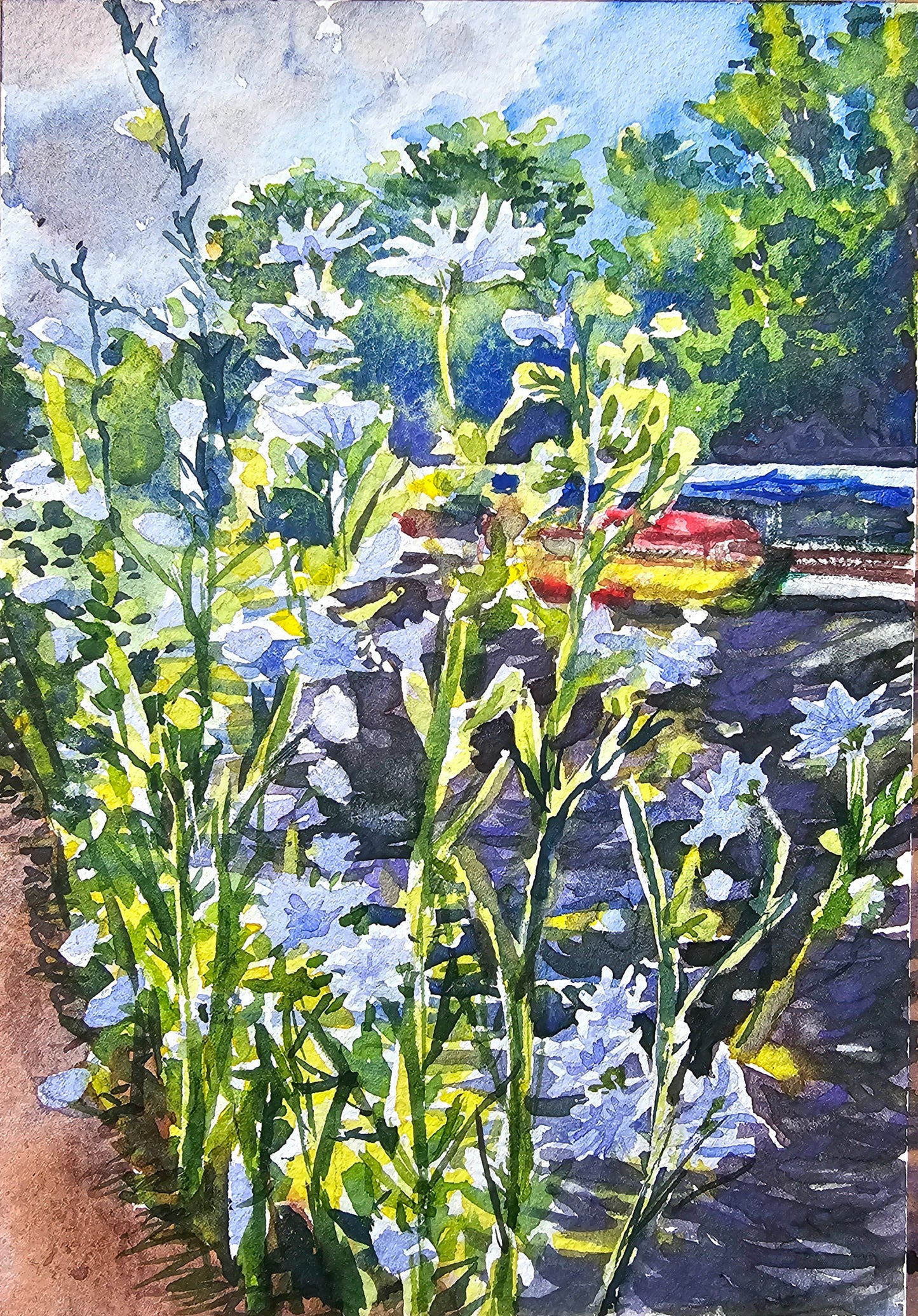 Riverside Chicory -  original watercolour painting- 4x6 inches