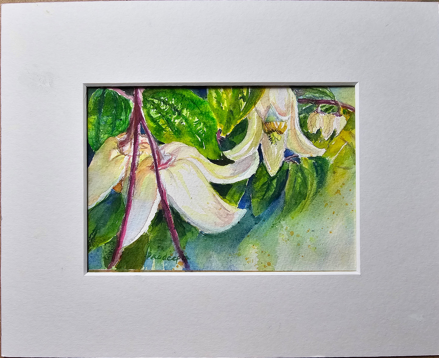 Winter Clematis -  original watercolour painting- 4x6 inches