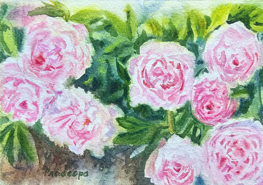 Peony Garden -  original watercolour painting- 4x6 inches