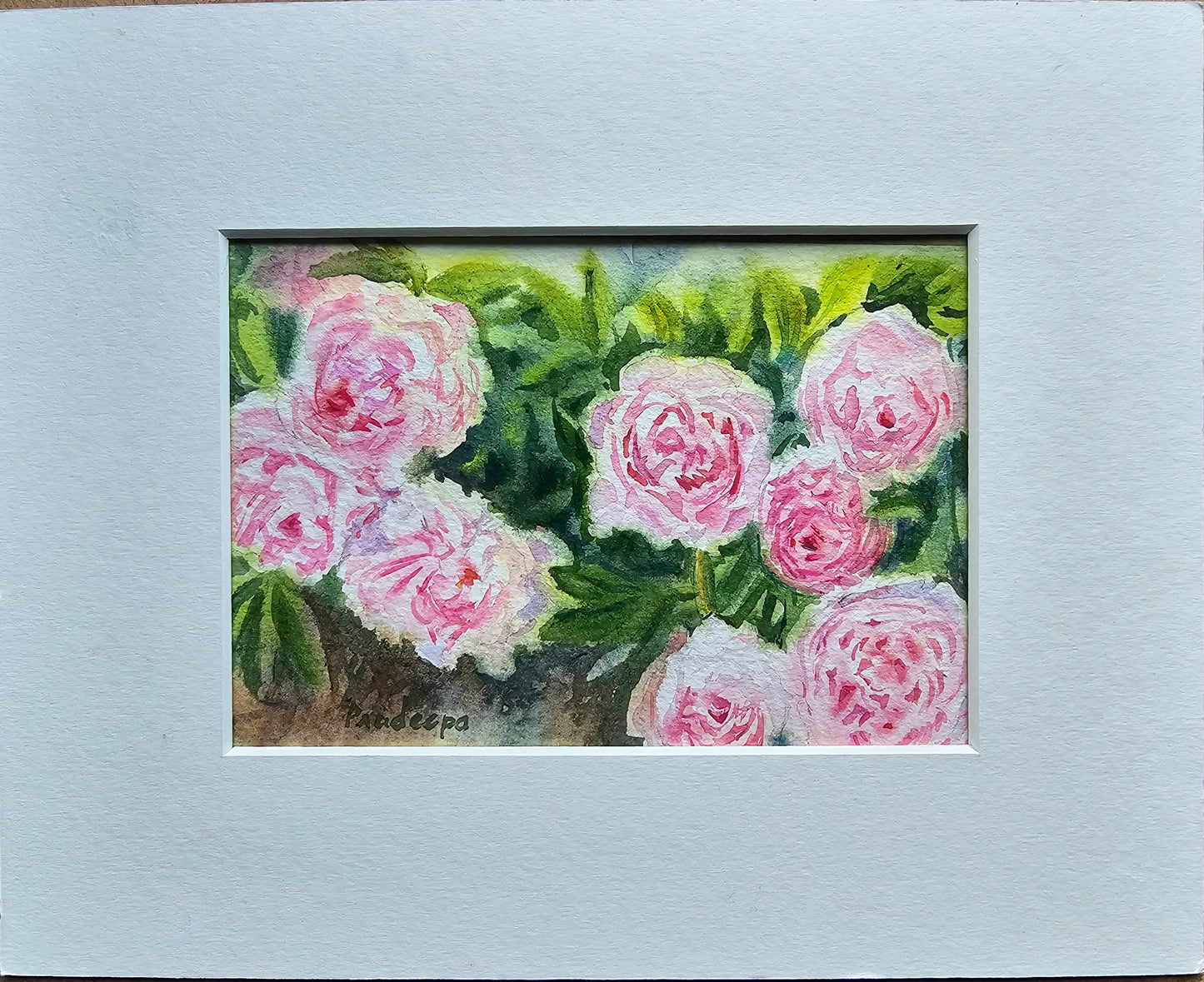 Peony Garden -  original watercolour painting- 4x6 inches