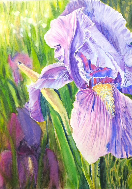 IRIS - Original Watercolour Painting 30x40 cm approx.