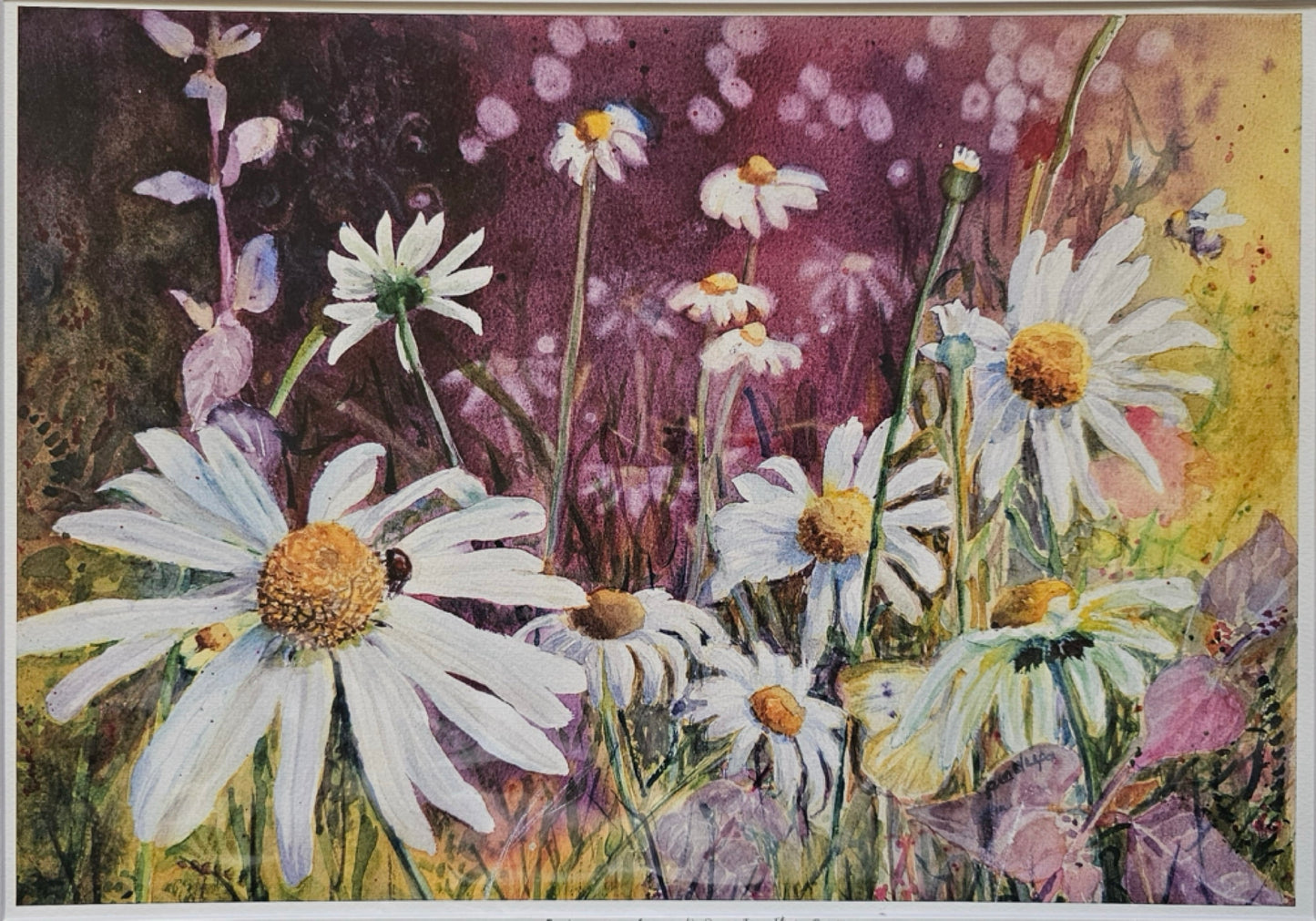 Daisy Meadow- A Day In The Sun- Limited Edition Fine Art Print- A3 & A4 size