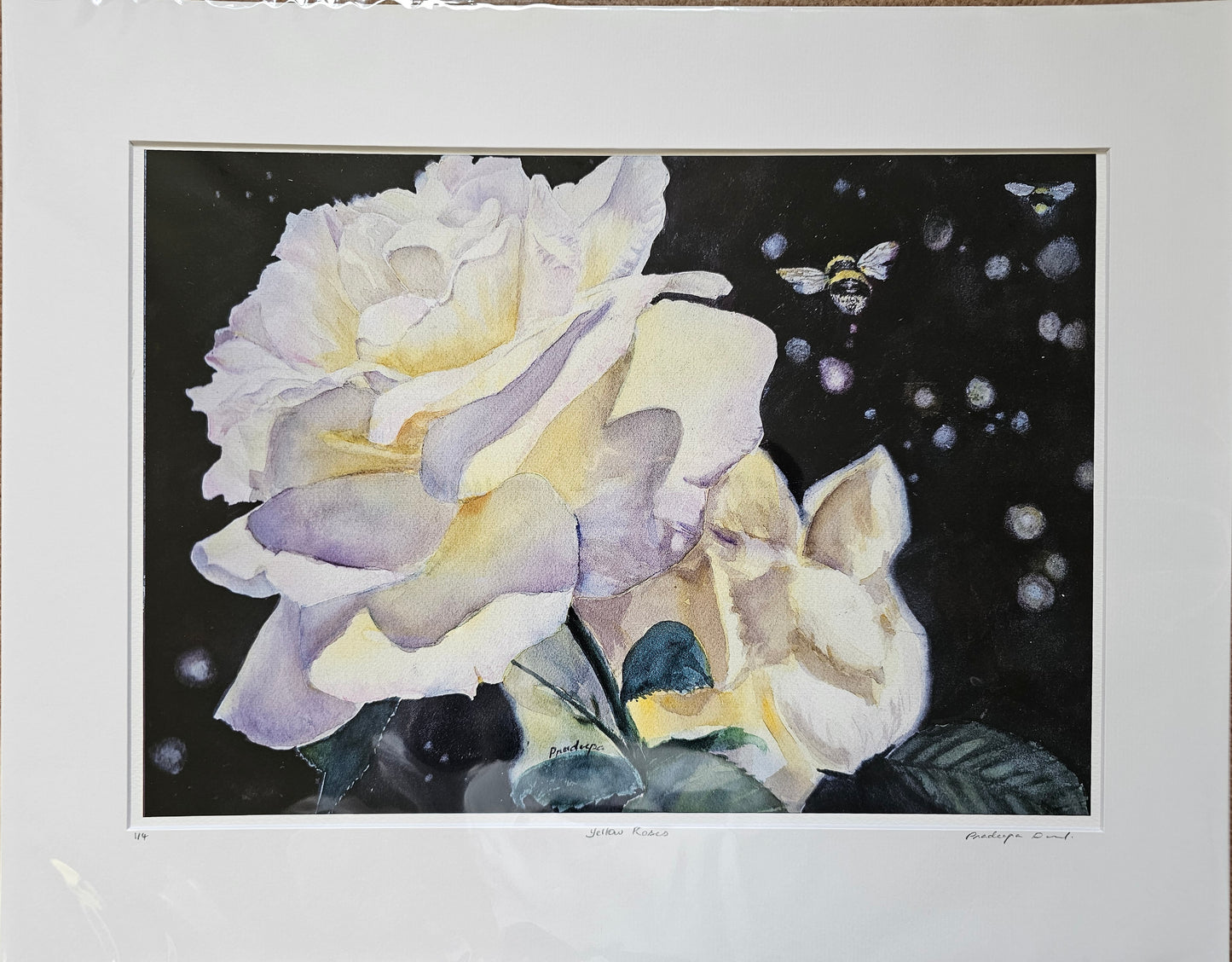 Yellow Roses- Limited Edition Fine Art Print- A3 & A4 size