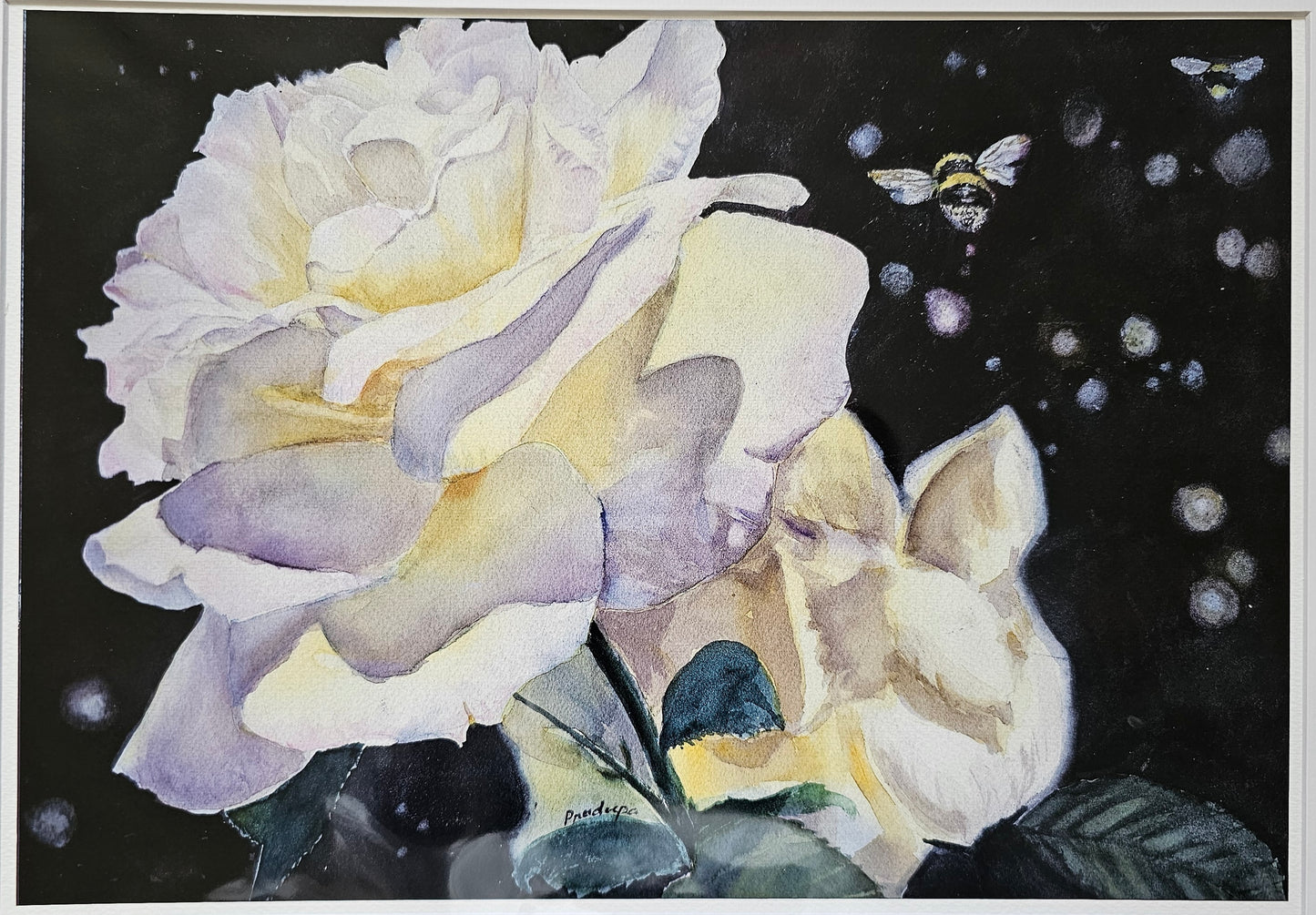Yellow Roses- Limited Edition Fine Art Print- A3 & A4 size