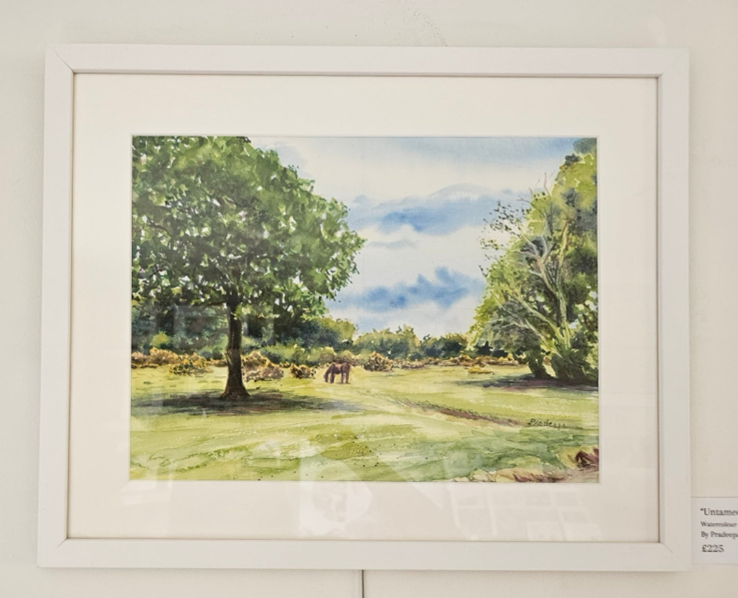 Untamed - Original Watercolour Painting, 35x 26 cm (approx)